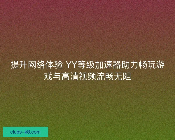 提升网络体验 YY等级加速器助力畅玩游戏与高清视频流畅无阻